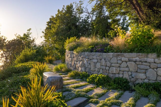 granite stone drystacked wall bluestar creeper around pavers