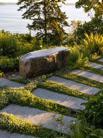 stone bench bluestar creeper stepable plants around stone pavers